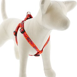 LupinePet Original Designs Go Go Gecko Step In Dog Harness, Medium/Large: 20 to 30-in chest, 3/4-in wide