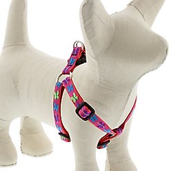 LupinePet Original Designs Wing It Step In Dog Harness, Small: 12 to 18-in chest, 1/2-in wide