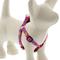 Show in main carousel: LupinePet Original Designs Wing It Step In Dog Harness, X-Small: 10 to 13-in chest, 1/2-in wide slide 1 of 6