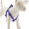 Show in main carousel: LupinePet Original Designs Ripple Creek Step In Dog Harness, Large: 24 to 38-in chest, 1-in wide slide 1 of 6