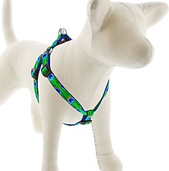LupinePet Original Designs Tail Feathers Step In Dog Harness, Small: 15 to 21-in chest, 3/4-in wide
