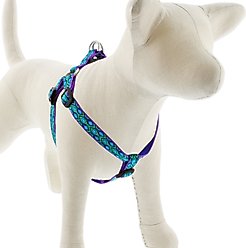 LupinePet Original Designs Rain Song Step In Dog Harness, Medium/Large: 20 to 30-in chest, 3/4-in wide