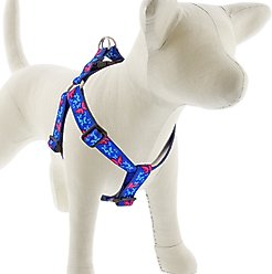 LupinePet Original Designs Social Butterfly Step In Dog Harness, Medium: 19 to 28-in chest, 1-in wide