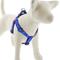 Show in main carousel: LupinePet Original Designs Social Butterfly Step In Dog Harness, Medium: 19 to 28-in chest, 1-in wide slide 1 of 6
