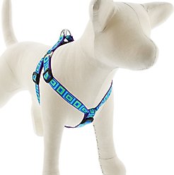 LupinePet Original Designs Sea Glass Step In Dog Harness, Small: 15 to 21-in chest, 3/4-in wide