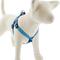 Show in main carousel: LupinePet Original Designs Sea Glass Step In Dog Harness, Small: 15 to 21-in chest, 3/4-in wide slide 1 of 6