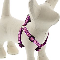 LupinePet Original Designs Rose Garden Step In Dog Harness, Small: 12 to 18-in chest, 1/2-in wide