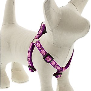 LupinePet Original Designs Rose Garden Step In Dog Harness, X-Small: 10 to 13-in chest, 1/2-in wide
