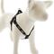 Show in main carousel: LupinePet Original Designs Bling Bonz Step In Dog Harness, Small: 15 to 21-in chest, 3/4-in wide slide 1 of 7