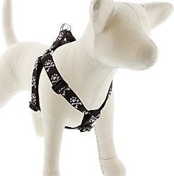 LupinePet Original Designs Bling Bonz Step In Dog Harness, Large: 24 to 38-in chest, 1-in wide
