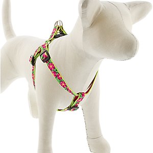 LupinePet Original Designs Jelly Roll Step In Dog Harness