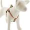 Show in main carousel: LupinePet Original Designs Petunias Step In Dog Harness, Medium/Large: 20 to 30-in chest, 3/4-in wide slide 1 of 7