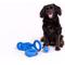 Show in main carousel: Ubbi Tennis Ball Tough Dog Toy, 4 pack, Blue & Charcoal slide 4 of 4