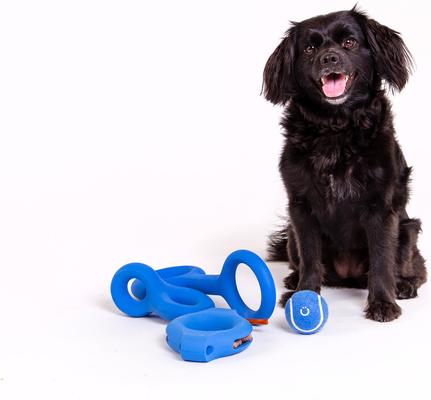 Show full view: Ubbi Tennis Ball Tough Dog Toy, 4 pack, Blue & Charcoal slide 4 of 4