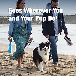 Vapur Portable Dog Water Bottle, Sea Glass Green, 23-oz slide 2 of 6