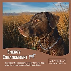 All American Canine Weight Gainer Digestive Aid Formula Dog Food Supplement, 1.5-lb bag slide 2 of 8