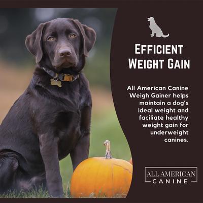 Show full view: All American Canine Weight Gainer Digestive Aid Formula Dog Food Supplement, 1.5-lb bag slide 5 of 9
