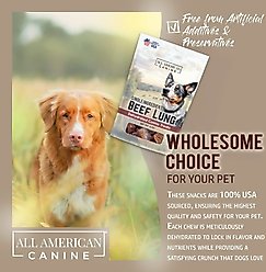 All American Canine Beef Lung Dehydrated Dog Treats, 4 count slide 2 of 7