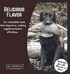 All American Canine High-Calorie Weight Gainer Protein Powder Dog Supplement, 5-lb bag slide 2 of 8