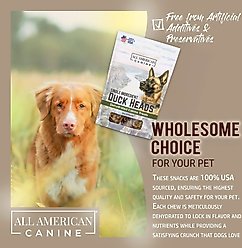 All American Canine Duck Heads Dehydrated Dog Treats, 10 count slide 2 of 7