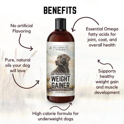 Show full view: All American Canine High-Calorie Weight Gainer Protein Liquid Dog Supplement, 16-fl oz bottle slide 5 of 7