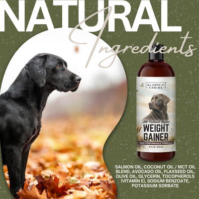 Show full view: All American Canine High-Calorie Weight Gainer Protein Liquid Dog Supplement, 16-fl oz bottle slide 4 of 7