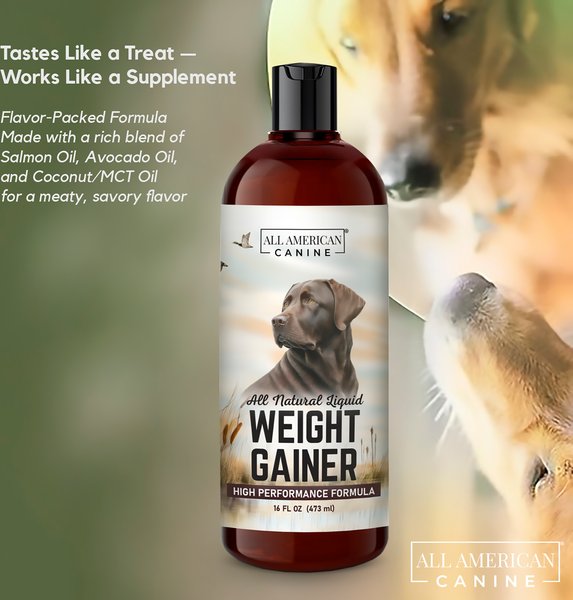 All American Canine High-Calorie Weight Gainer Protein Chews Dog Supplement, 60 count