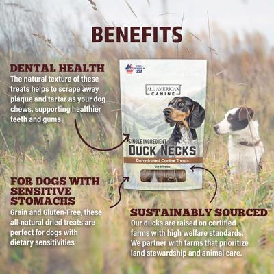 Show full view: All American Canine Duck Necks Dehydrated Dog Treats, 6 count slide 6 of 9