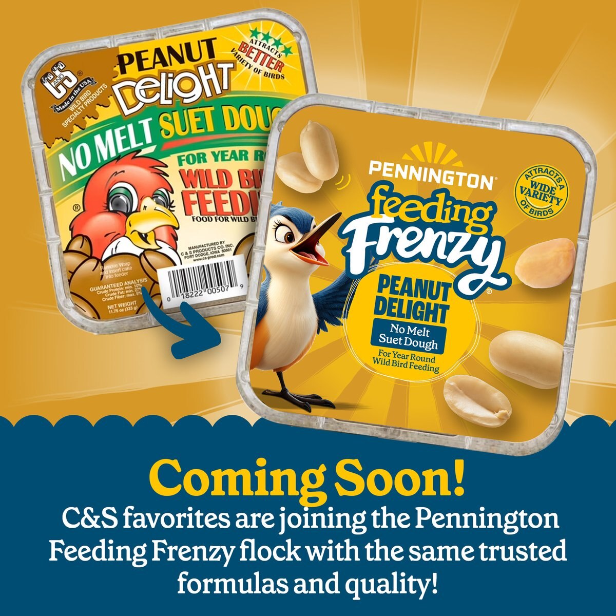 C&S Peanut Delight Dough & Berry Treat Suet Wild Bird Food, 24 count