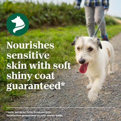 Show full view: Nutro Limited Ingredient Diet Adult Small Bites Sensitive Support with Real Lamb & Sweet Potato Grain-Free Dry Dog Food, 22-lb bag slide 10 of 11