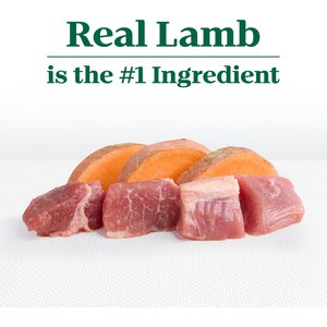 Nutro Limited Ingredient Diet Adult Small Bites Sensitive Support with Real Lamb & Sweet Potato Grain-Free Dry Dog Food, 22-lb bag