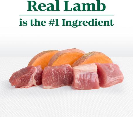 Show full view: Nutro Limited Ingredient Diet Adult Sensitive Support with Real Lamb & Sweet Potato Grain-Free Dry Dog Food, 4-lb bag slide 5 of 11