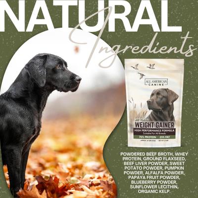 Show full view: All American Canine High-Calorie Weight Gainer Protein Powder Dog Supplement, 5-lb bag slide 9 of 10