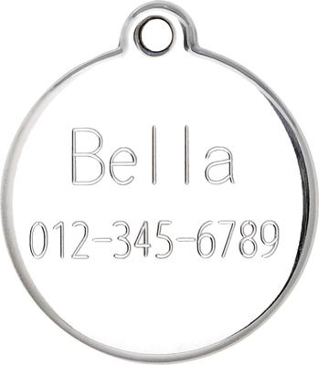 Show full view: Red Dingo BFF Stainless Steel Personalized Dog & Cat ID Tag, Light Blue, Large slide 4 of 7