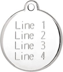Red Dingo BFF Stainless Steel Personalized Dog & Cat ID Tag, Light Blue, Medium slide 2 of 7