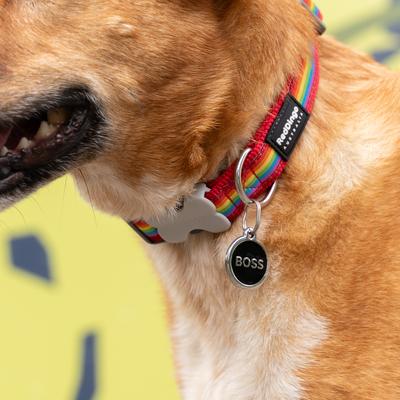 Show full view: Red Dingo Boss Stainless Steel Personalized Dog & Cat ID Tag, Black, Large slide 7 of 7