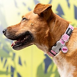 Red Dingo BFF Stainless Steel Personalized Dog & Cat ID Tag, Pink, Small slide 2 of 8