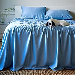 BedVoyage Luxury 100% Viscose from Bamboo Bed Sheet Set, Ocean, Queen
