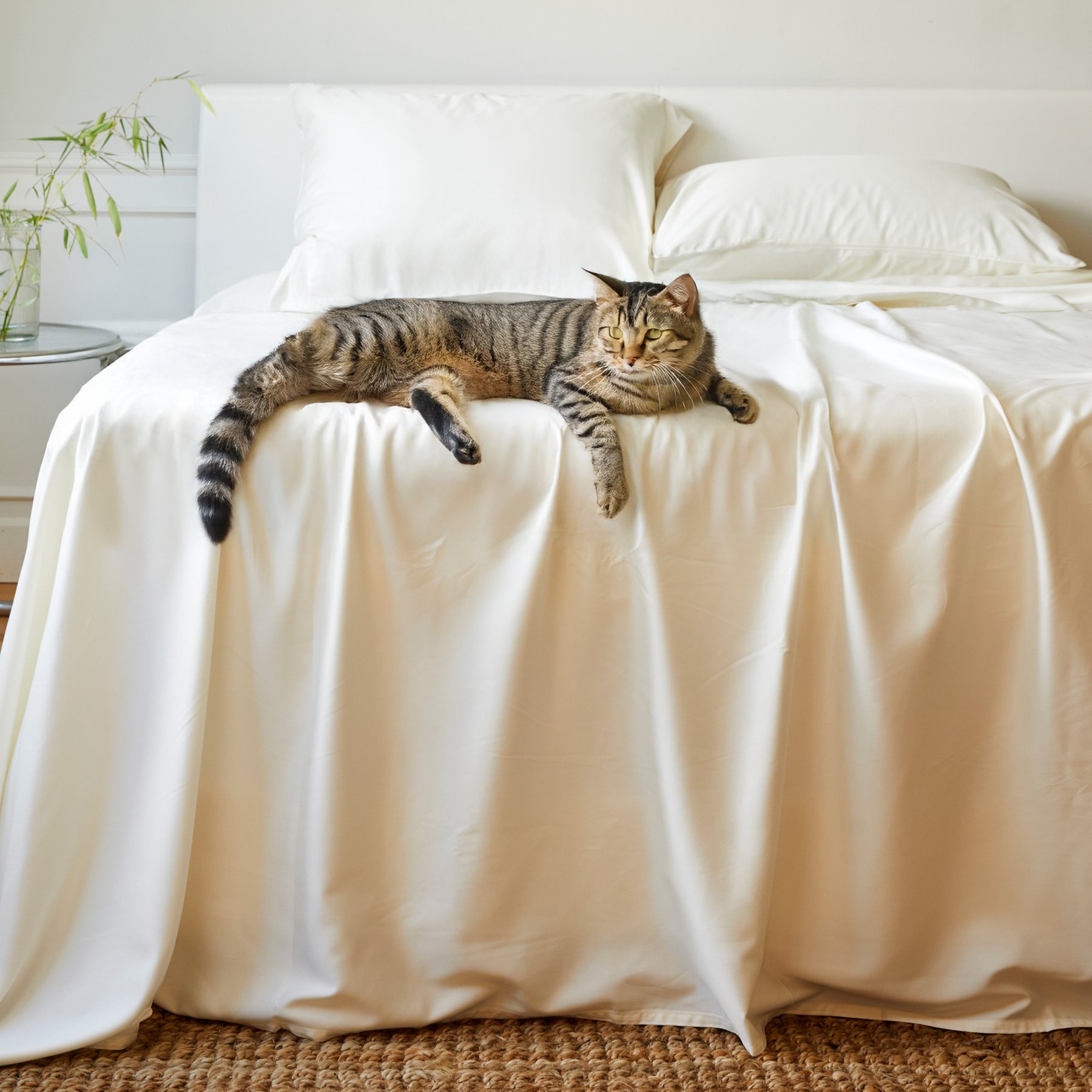 BedVoyage 100% Viscose from Bamboo Cooling & Lightweight Sheet Set, Ivory, King