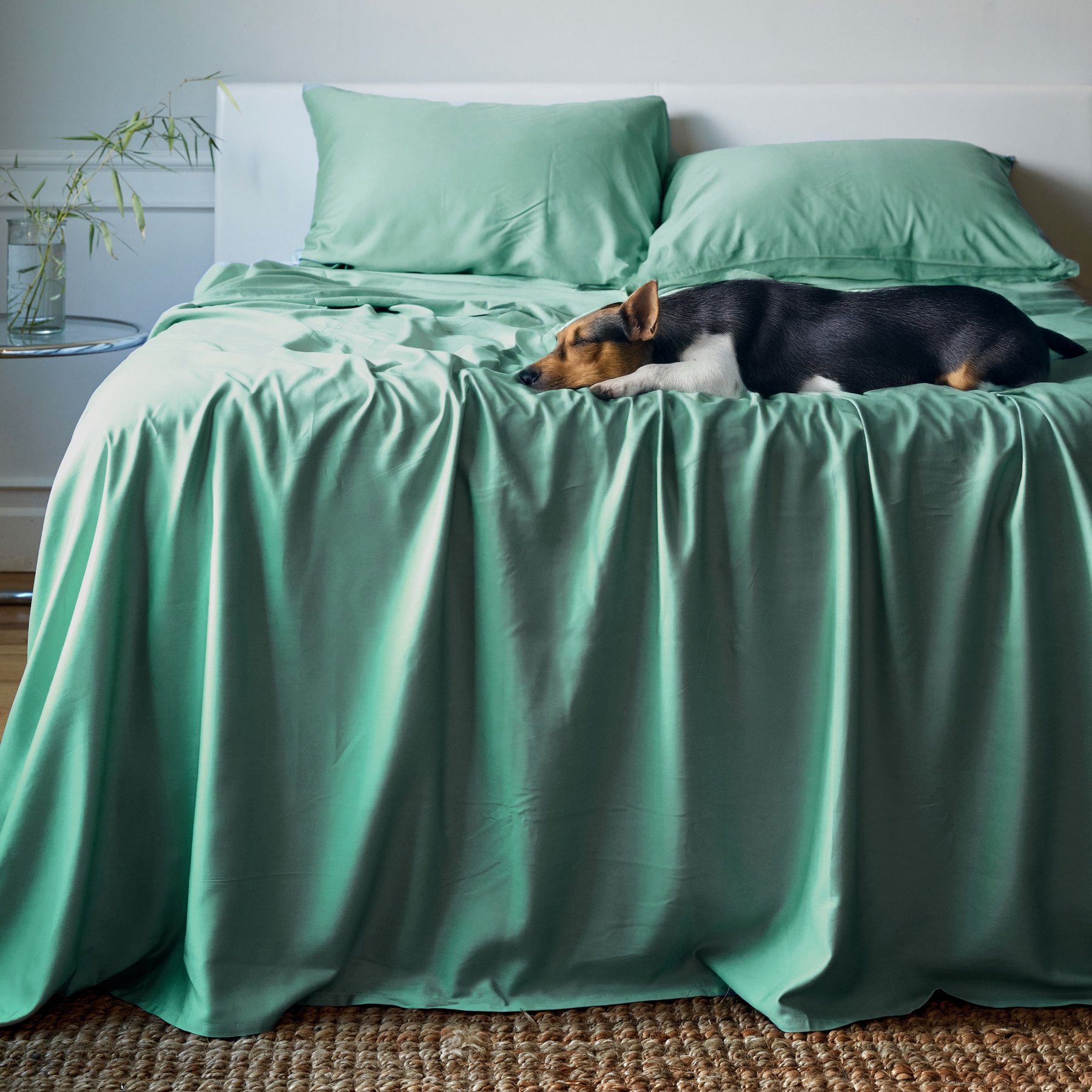 BedVoyage 100% Viscose from Bamboo Cooling & Lightweight Sheet Set, Seaglass, Split King