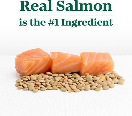 Show full view: Nutro Limited Ingredient Diet Adult Sensitive Support with Real Salmon & Lentils Grain-Free Dry Dog Food, 4-lb bag slide 5 of 11