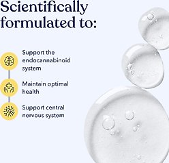 Honest Paws Full-Spectrum Hemp Oil Tincture for Cats Less Than 25-lbs, 125-mg, Well Blend, 30-mL slide 2 of 7