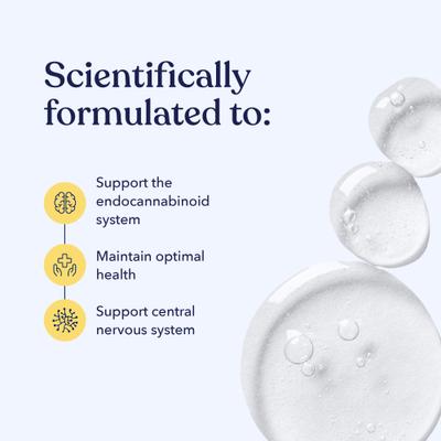 Show full view: Honest Paws Full-Spectrum Hemp Oil Tincture for Dogs Less Than 25-lbs, 125-mg, Well Blend, 30-mL slide 3 of 8