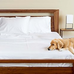 BedVoyage Melange Viscose from Bamboo Cotton Bed Sheets, Snow, Twin