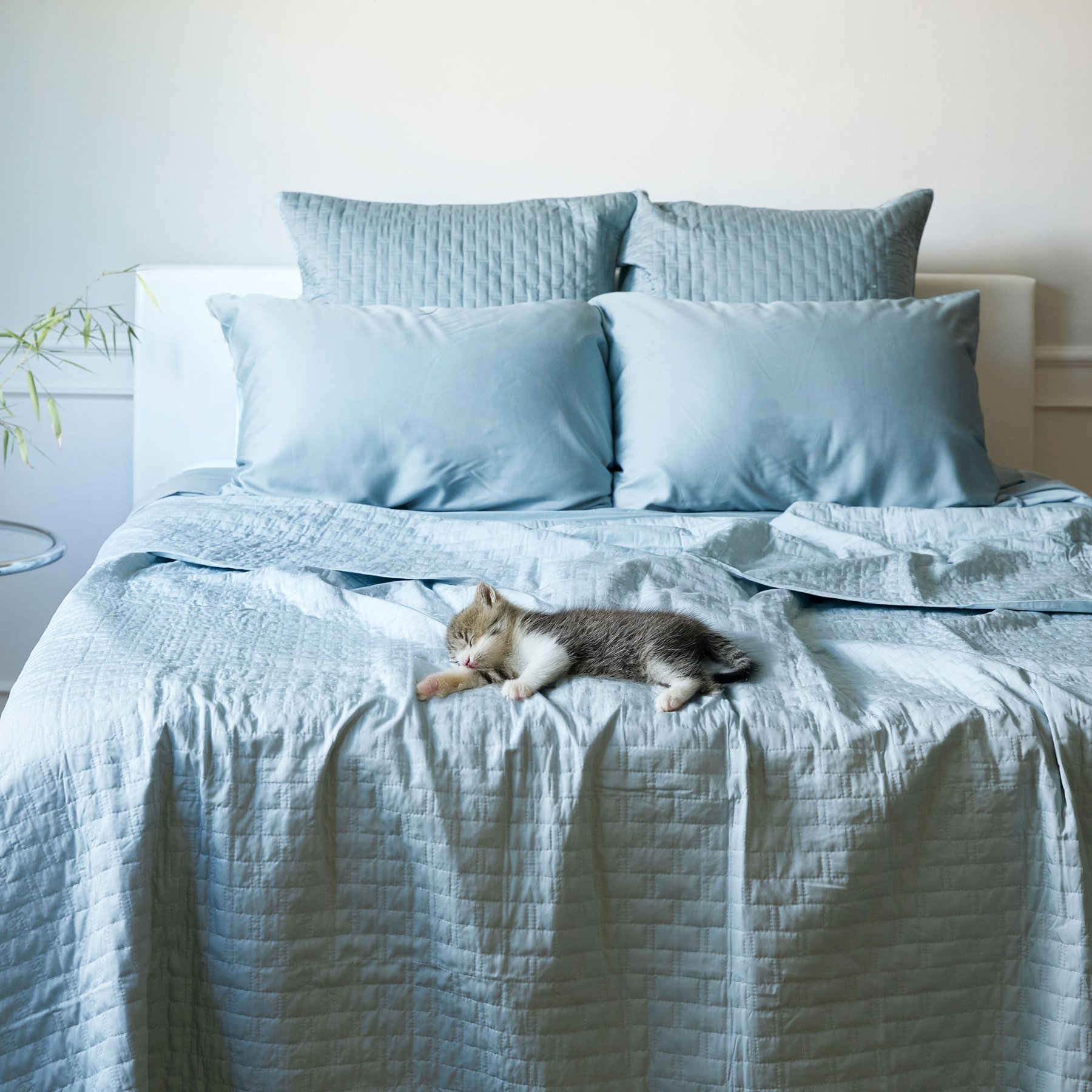 BedVoyage 100% Viscose from Bamboo Cooling & Lightweight Quilted Coverlet, Sky, King