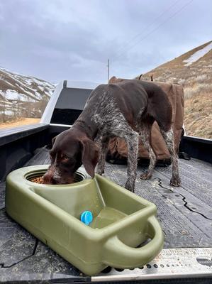 Show full view: Dakota 283 Dine N Dash Dakota Guard Antimicrobial Dog Feeding System, Olive slide 5 of 5