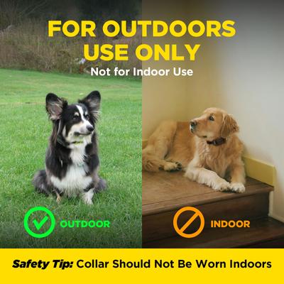 Show full view: Dogtra GPS Fence Wireless System Rechargeable Virtual Containment Collar, Black slide 5 of 11