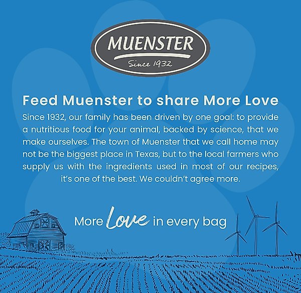 Show full view: Muenster Perfect Balance Cheese Bites Freeze-Dried Dog Treats, 5-oz bag slide 8 of 11
