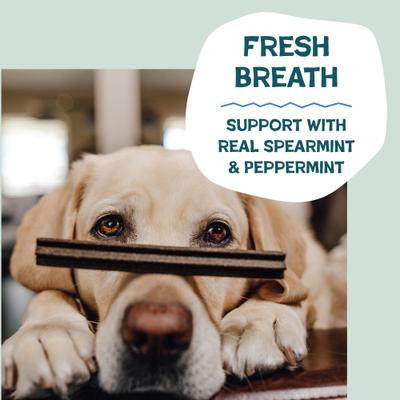 Show full view: Shameless Pets Mighty Mint Dog Dental Sticks, Mini, 7.2-oz bag slide 5 of 8