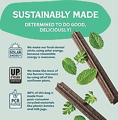 Shameless Pets Mighty Mint Dog Dental Sticks, 8 count slide 2 of 7